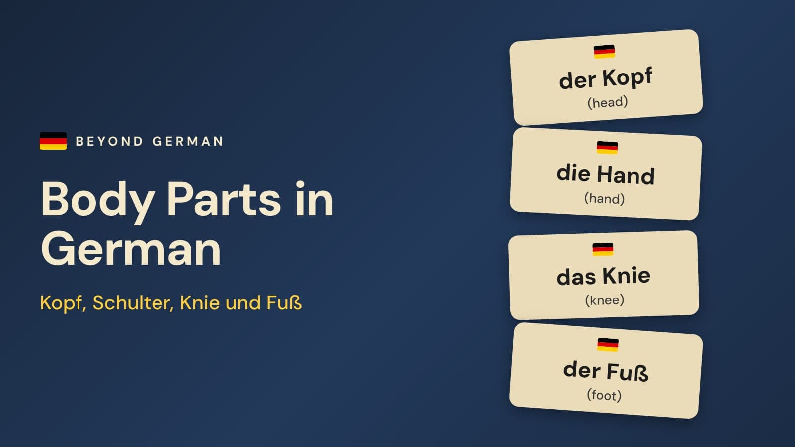 Body Parts in German: Vocabulary With Articles & Plurals